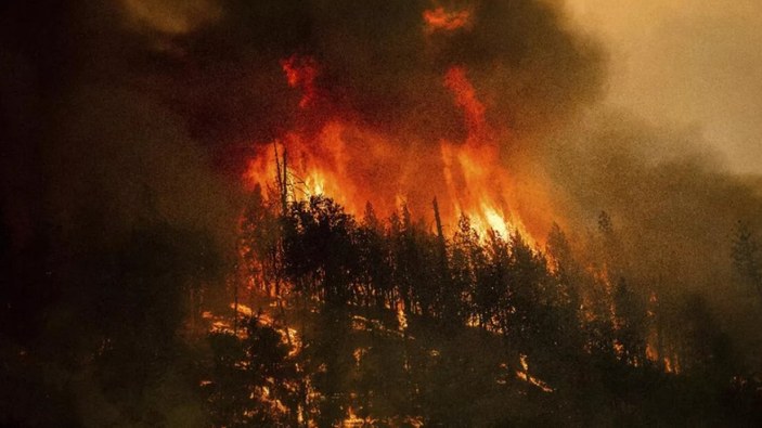 ABD, yangınlar ve fırtınayla mücadele veriyor