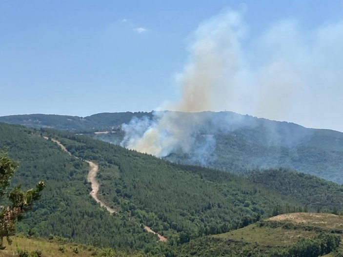 Çanakkale'de orman yangını
