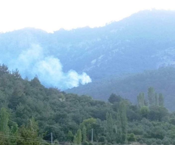 Aydın'da orman yangını