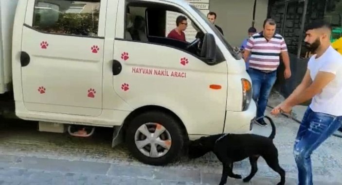 Kadıköy’de köpek kavgası: Köpeğin sahibine 14 bin TL ceza kesildi