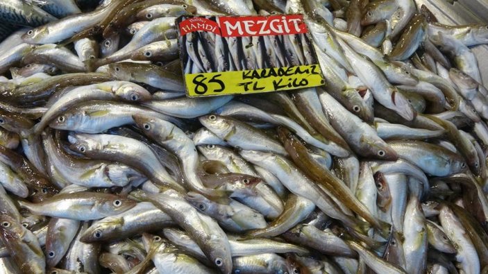 Kocaeli'de balıkçı tezgahlarındaki çeşitlilik göz dolduruyor