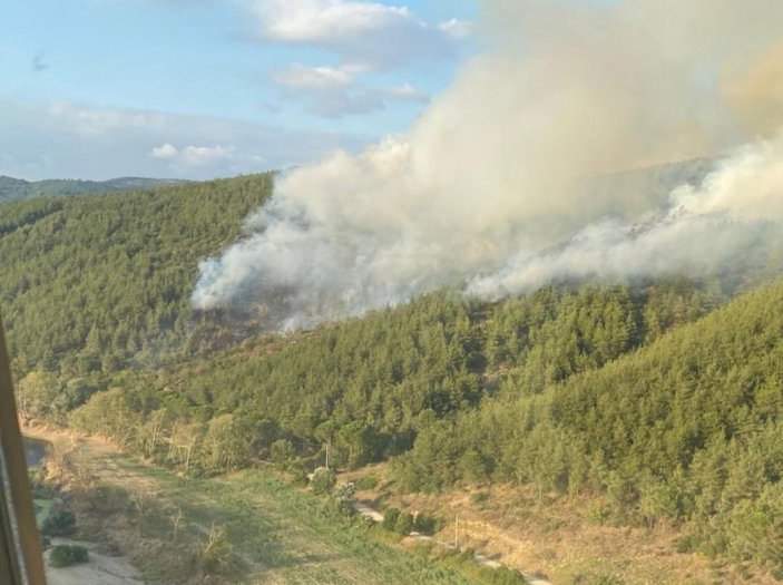 Balıkesir Susurluk'ta orman yangını