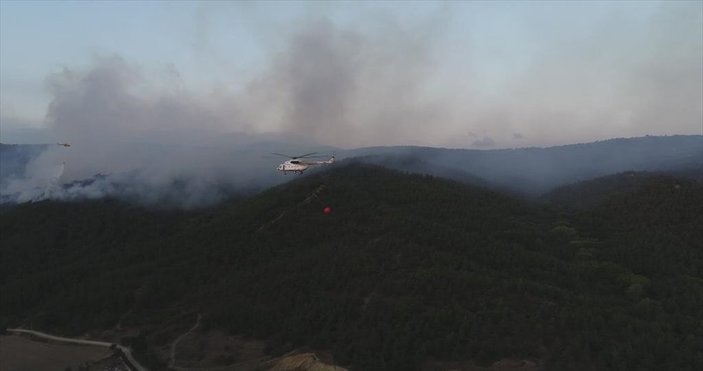 Balıkesir Susurluk'ta orman yangını