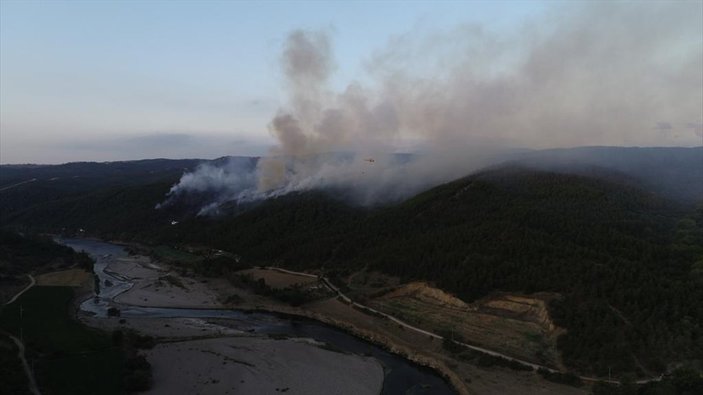 Balıkesir Susurluk'ta orman yangını