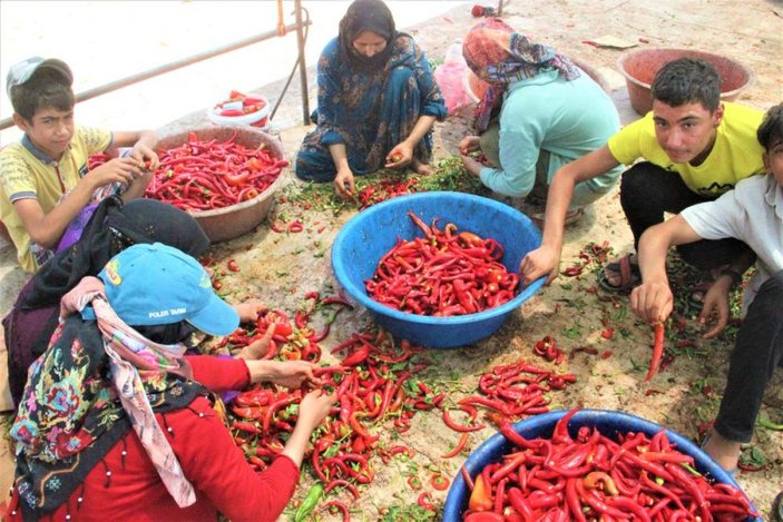 Şanlıurfa’da acı mesaisi başladı