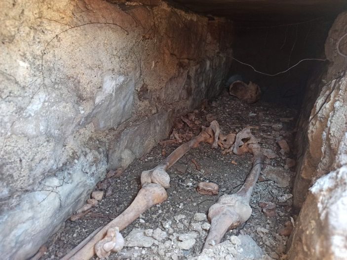 Kastamonu'da kuzeninin mezarını ararken bin 500 yıllık Bizans mezarını buldu