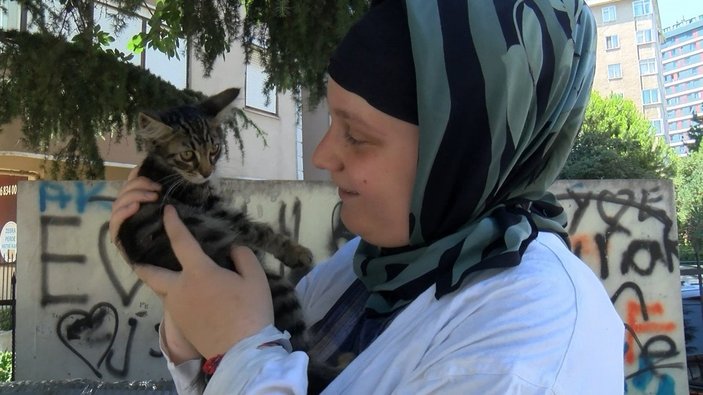 Maltepe'de sokak kedilerini besleyen çift darbedildi
