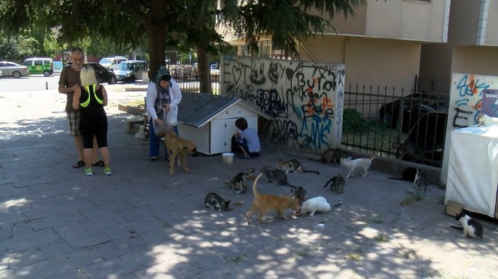Maltepe'de sokak kedilerini besleyen çift darbedildi