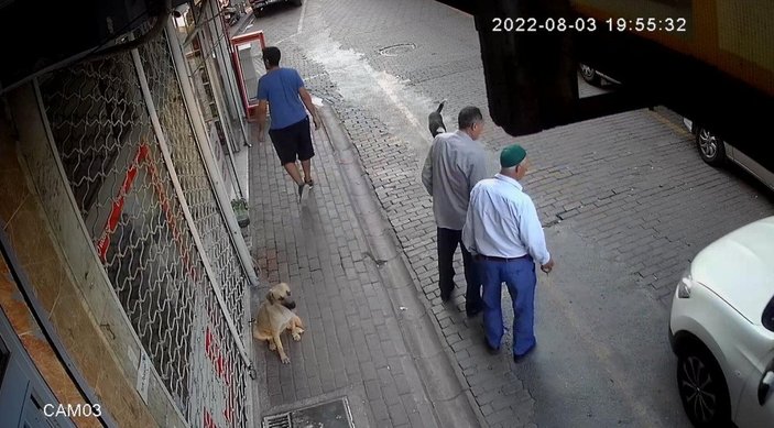 Aydın'da, başıboş sokak köpeği 2 kişiyi yaraladı