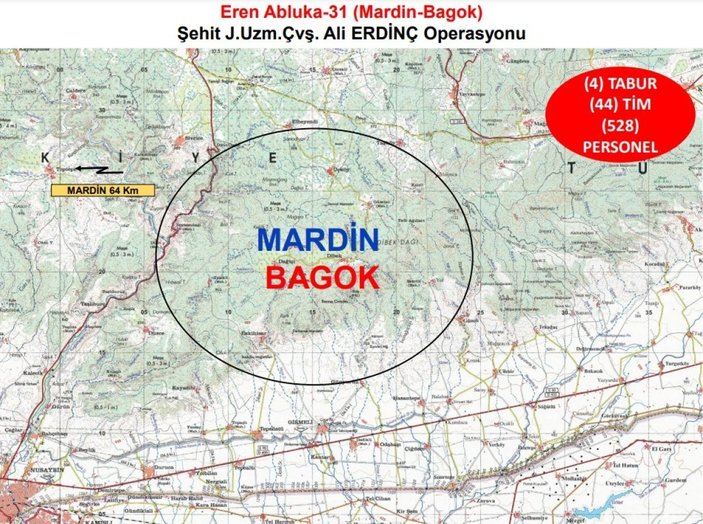Mardin'de Eren Abluka-31 operasyonu başlatıldı