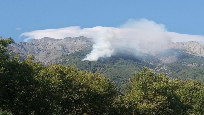 Yunanistan'ın Semadirek Adası'nda yangın çıktı