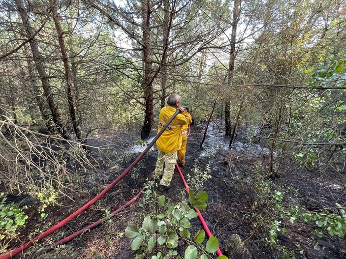 Uludağ'ın eteklerindeki orman yangını kontrol altına alındı