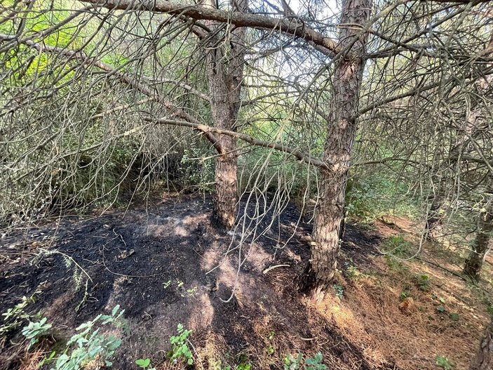 Uludağ'ın eteklerindeki orman yangını kontrol altına alındı