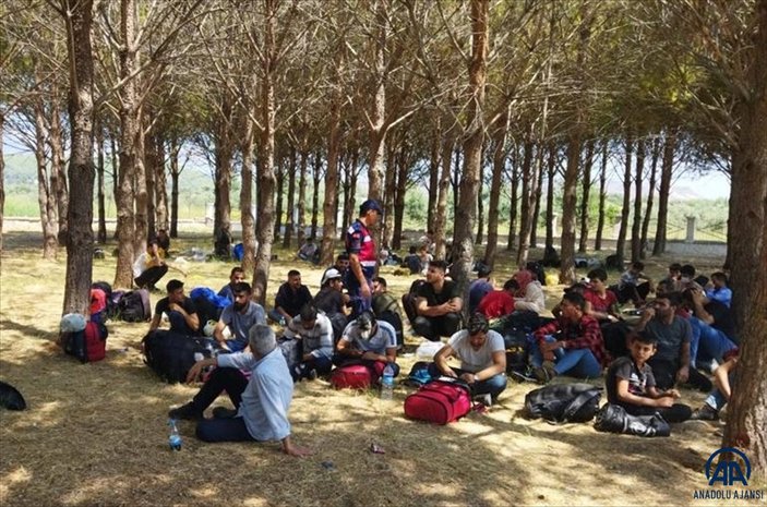Muğla'da ormanlık alanda 81 düzensiz göçmen yakalandı