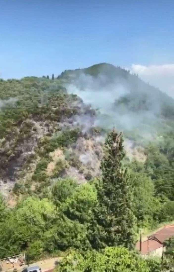 Kocaeli'de orman yangını: 1 kişi gözaltında