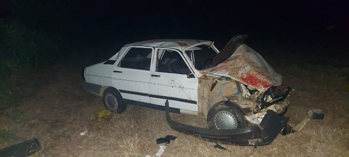 Çanakkale'de araba sürüye çarptı:13 koyun telef oldu