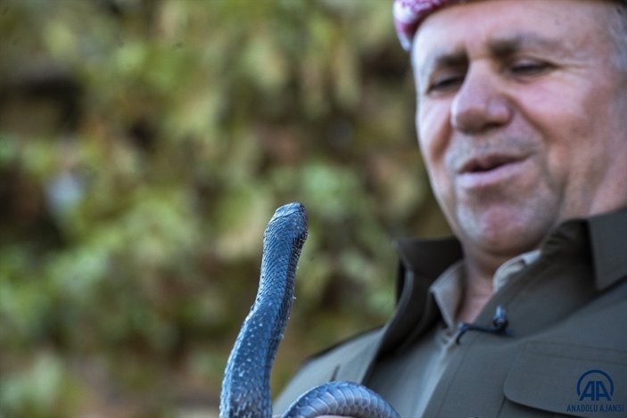 Evinde 60 yılan besliyor: Amacım onları ölümden kurtarmak