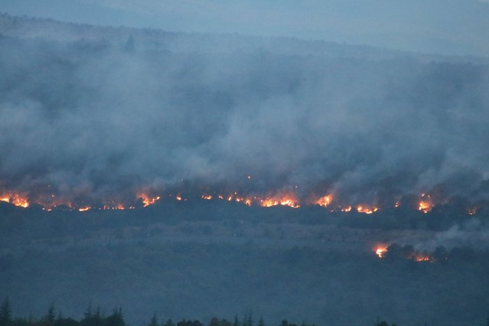 Bulgaristan'da orman yangını: Edirne'nin köylerine kadar dayandı