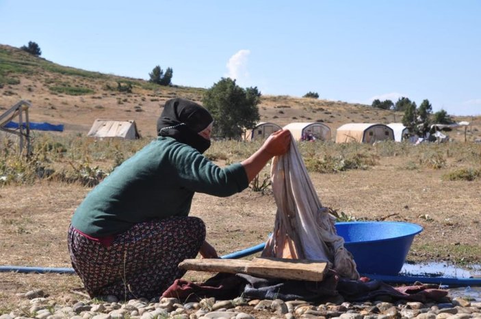 Terörden temizlenen Tunceli'de besiciler hayvanlarını güvenle otlatıyor
