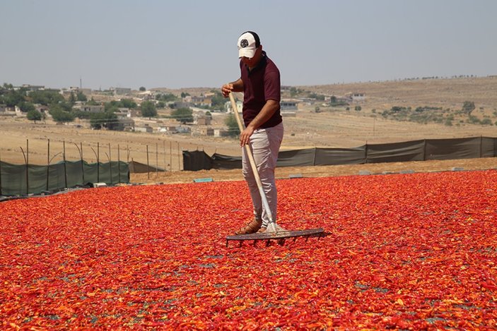 Tescilli Şanlıurfa isotu tezgahlarda