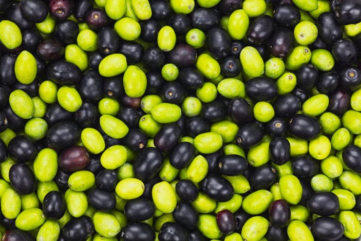 Siyah zeytin mi yeşil zeytin mi? Hangisi daha sağlıklı?