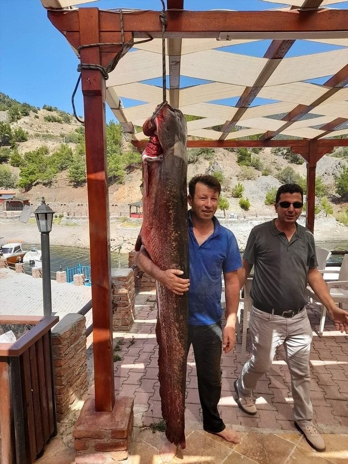 Çorum'da 50 kiloluk yayın balığı yakalandı