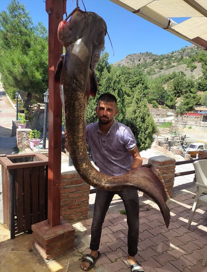 Çorum'da 50 kiloluk yayın balığı yakalandı