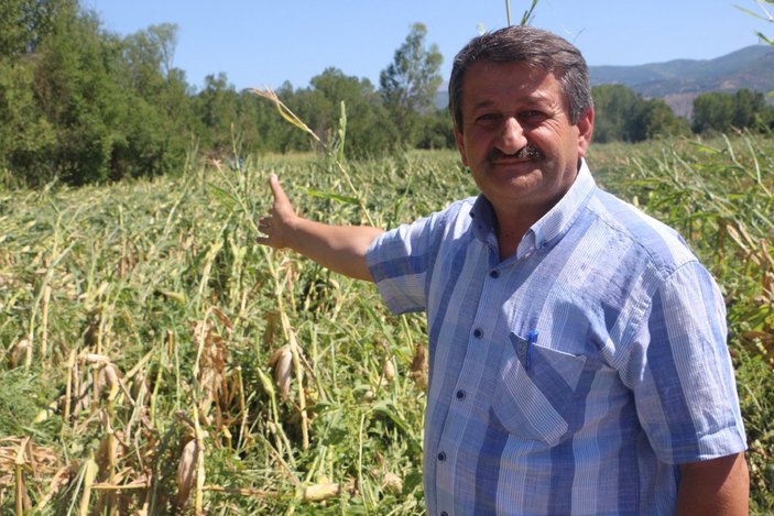 Tokat’ta kuvvetli rüzgar, tarım arazilerini vurdu