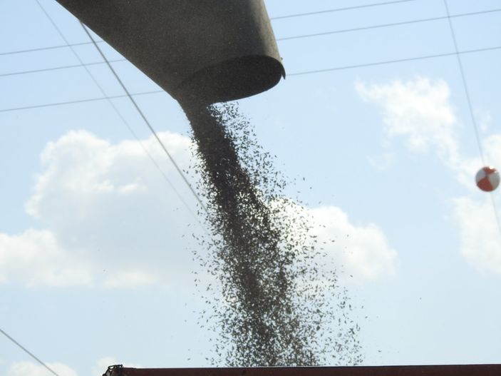 Vali Kırbıyık, biçerdövere binerek ayçiçeği hasadı yaptı