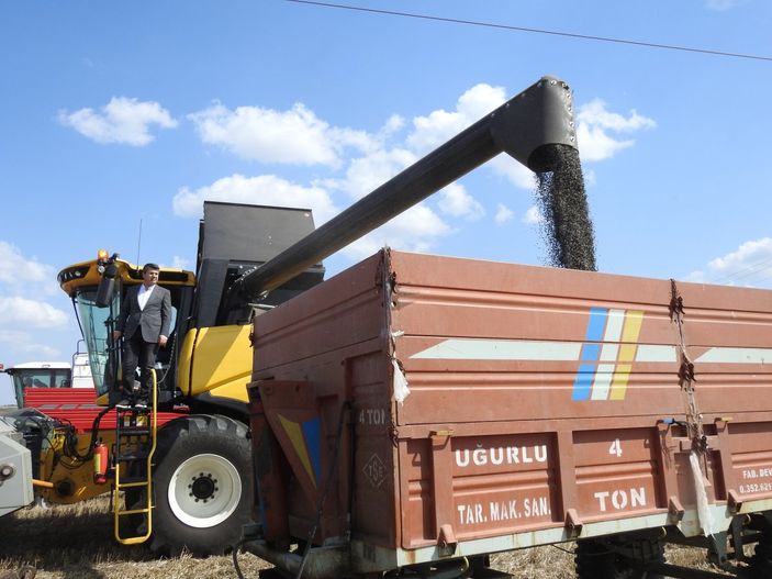 Vali Kırbıyık, biçerdövere binerek ayçiçeği hasadı yaptı