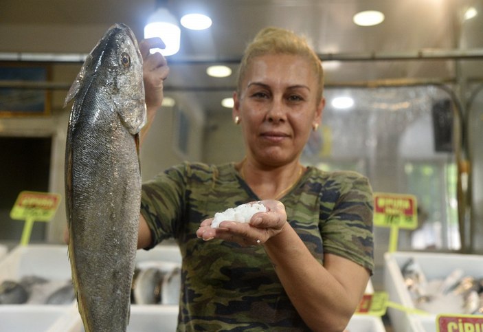 Balık başında bulunan otolit taşının kilosu, tezgahta 1.000 TL