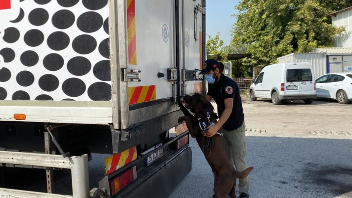 Mersin’de et tırından 77 kilo esrar çıktı