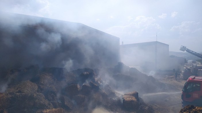 Sivas'ta yangın: Mısır balyaları kül oldu