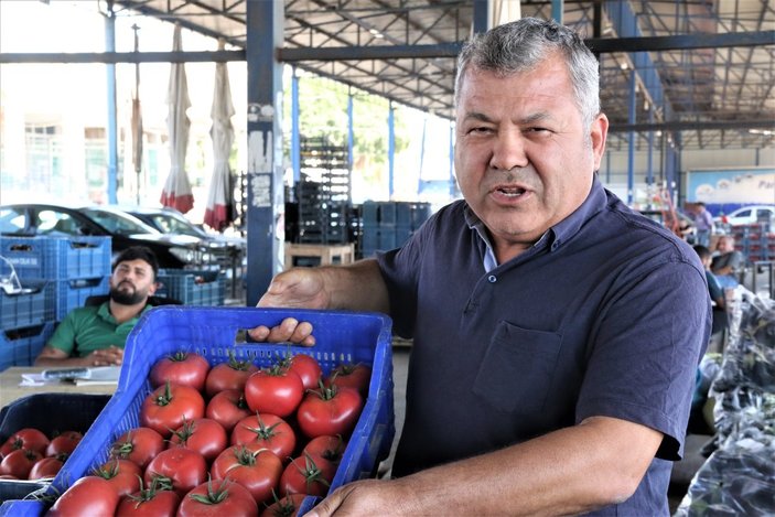 Antalyalı çiftçiler: Bu yıl domatese olan talep yüzde 30 daha fazla