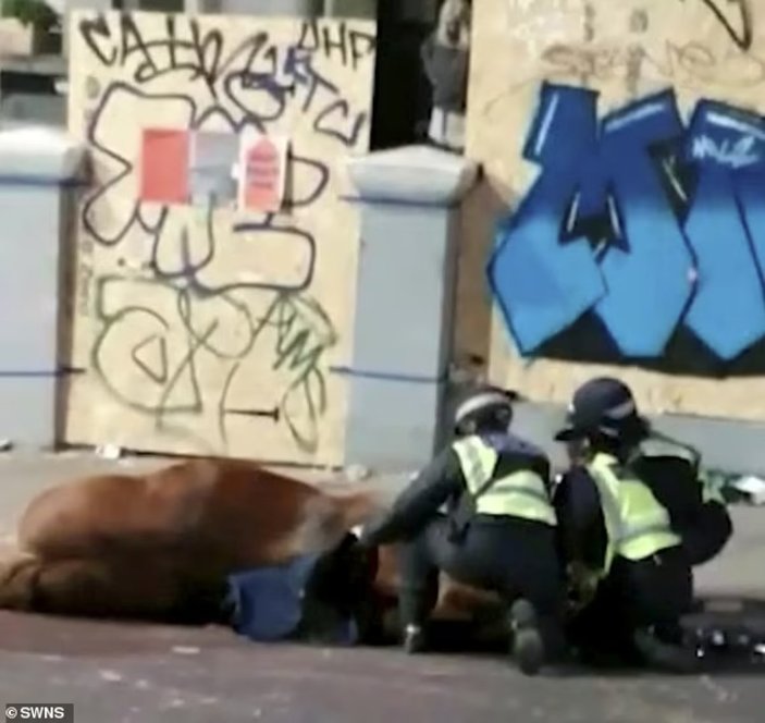 İngiltere'de yere yığılan polis atı öldü