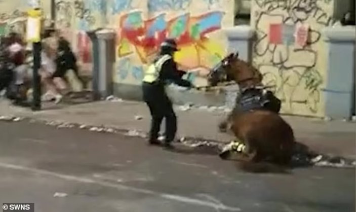 İngiltere'de yere yığılan polis atı öldü