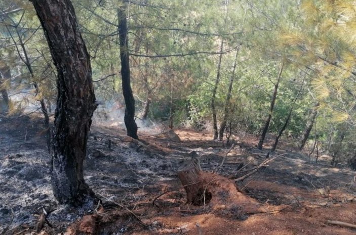 Hatay’da ormanlık alanda yangın