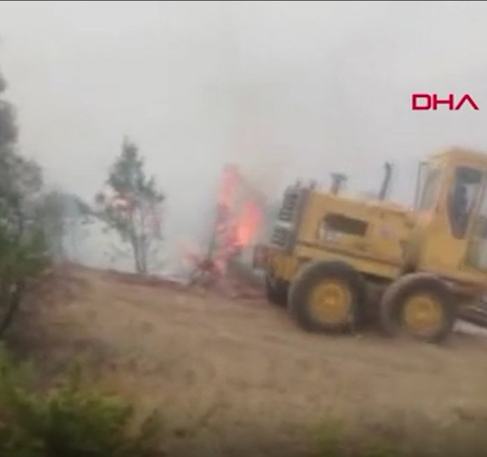 Erzincan’da ormanlık alanda yangın çıktı