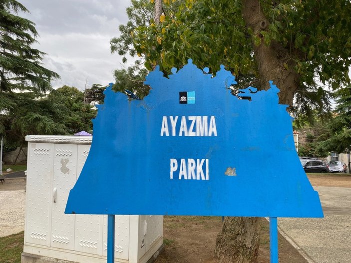 Beşiktaş Belediyesi Ayazma Parkı’ndaki 3 ağacı kesti