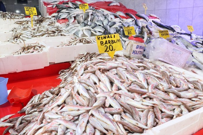 Samsun'da balık tezgahlarındaki çeşitlilik ilgi görüyor