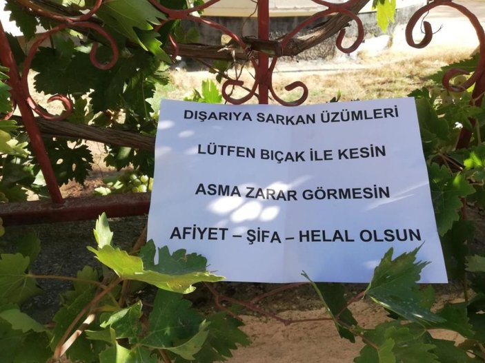 Kahramanmaraş'ta bahçe sahibi üzüm almak isteyenlere not bıraktı