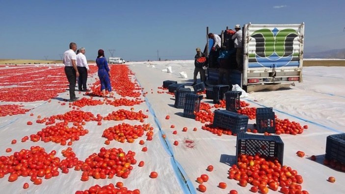 Bitlis’in kurutulmuş domatesleri Amerika ve Avrupa’ya ihraç ediliyor