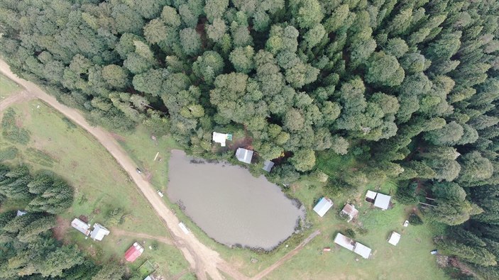 Karadeniz yaylaları sisle kaplandı