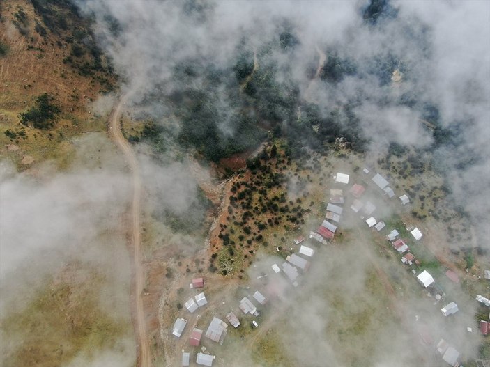 Karadeniz yaylaları sisle kaplandı