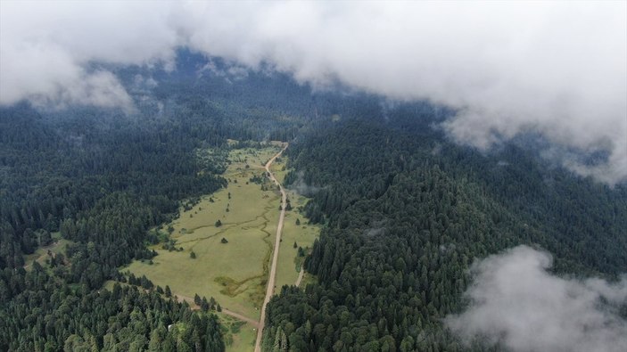 Karadeniz yaylaları sisle kaplandı