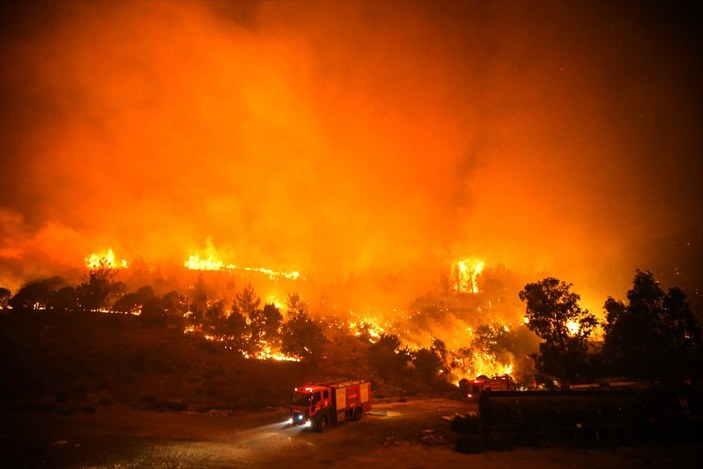 Mersin'de orman yangını: 110 ev tahliye edildi