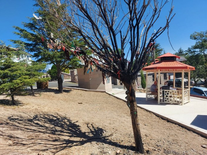 Ankara’da 2 kişi cemevinin dilek ağacı yaktı