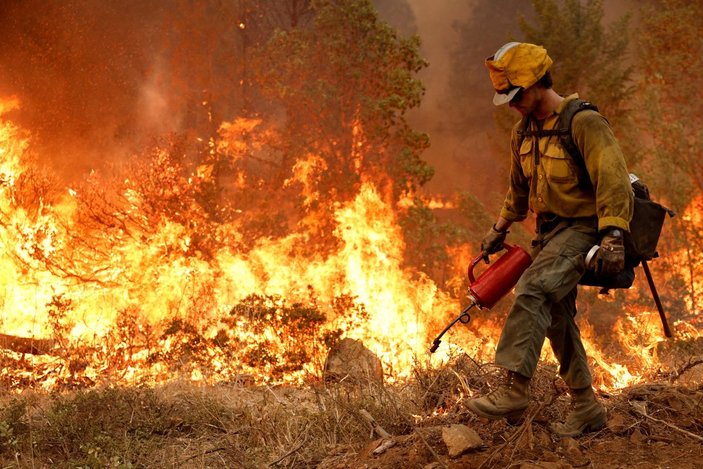 Kaliforniya'da orman yangınları sürüyor: 11 bini aşkın tahliye