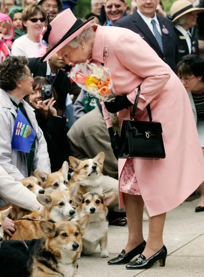 İngiltere'de Kraliçe Elizabeth'in köpeklerinin geleceği konuşuluyor