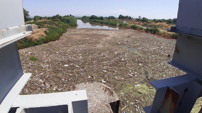 Büyük Menderes Nehri’ndeki kirlilik çevreyi tehdit ediyor